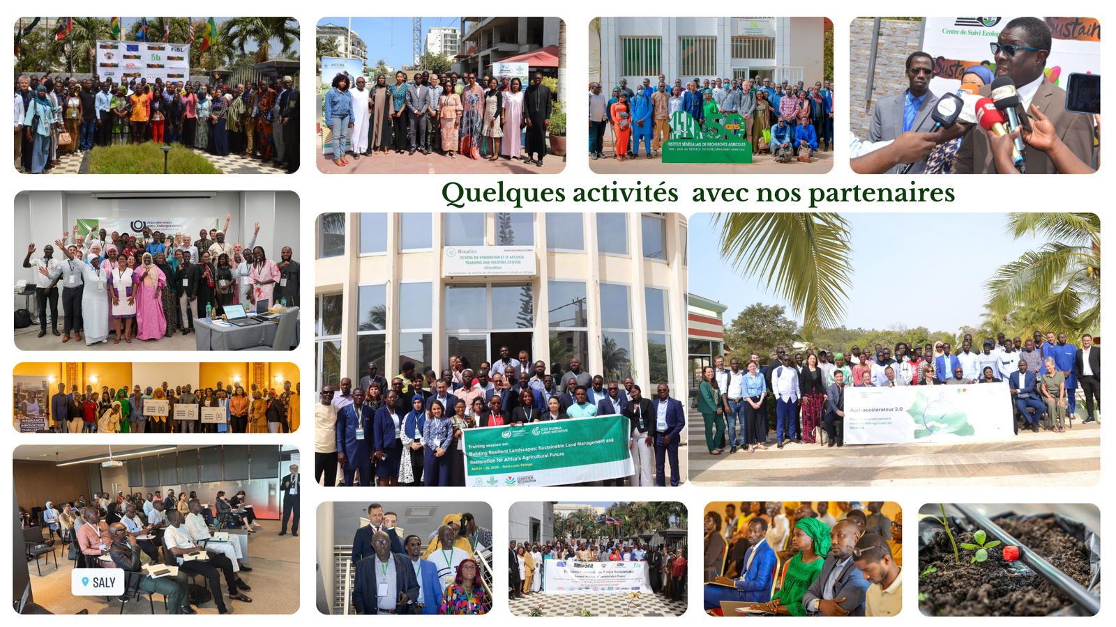 Transformation numérique & AgriTech